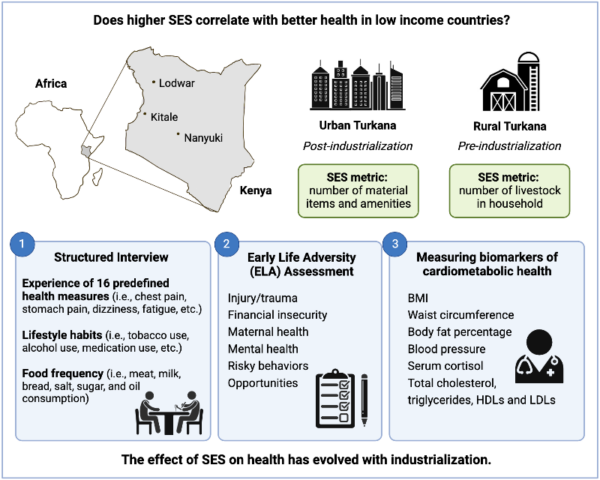 How Does Socioeconomic Status Affect Life Expectancy